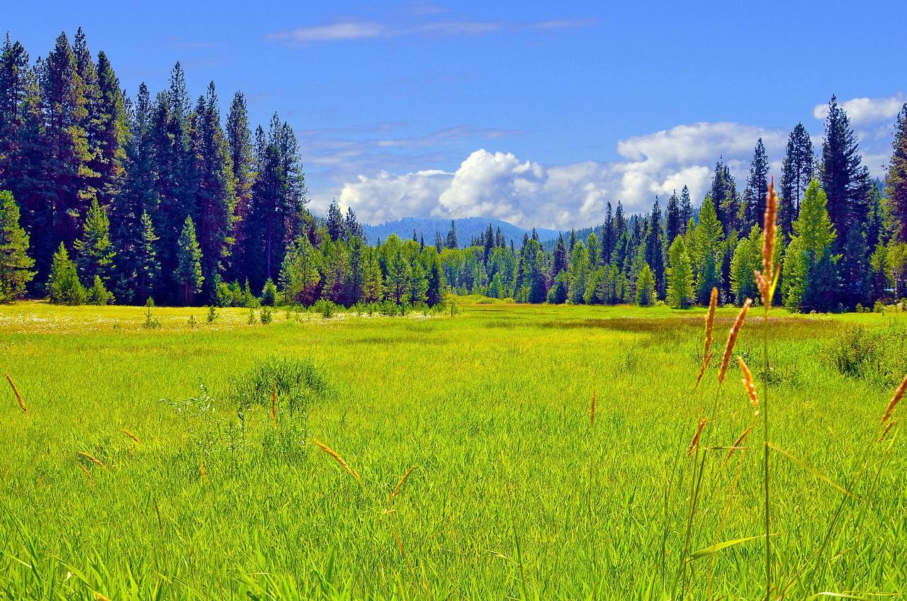 Leavenworth Camping Resort Tiny House Adeline 외부 사진